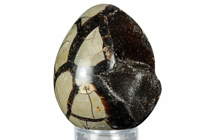 Septarian Dragon Egg Geode - Sparkly Black Crystals #336442